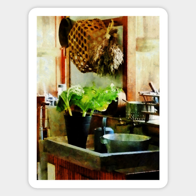 Cooks - Washing Garden Greens